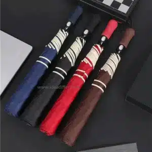 2 folds auto umbrella (UM-001)